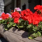Hotel Hotel Sarre