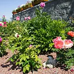 Hotel Sarre Hotel