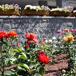 Hotel Sarre Hotel